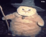 fatasswizardEZ emoji