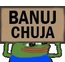 banujChuja emote