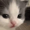 please emote