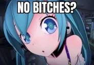 nobitches emote