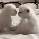 kiss emote
