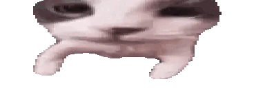 catKiss emote