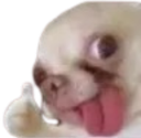 dog_like static emote