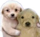 mipana emote