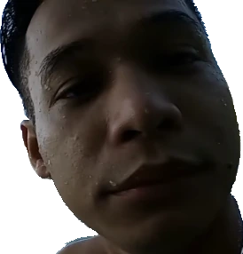Mixi_meme emote