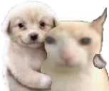 elWadafayelpanaFrienddandoleunabrazo emote