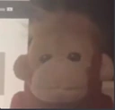 monke_stare emote