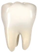 tooth emote