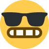 notcool emote