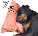 Sleeping_dog emote