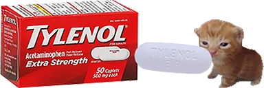 tylenolbert emote
