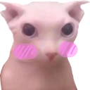 BingusBlush emote
