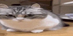 loafing emote