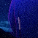 Ai_Cutie emote