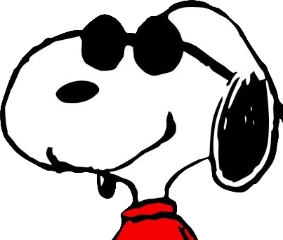 joe_cool emote