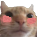 swagblush2 emote
