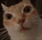 DemonTime emote