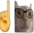 catNerd emote