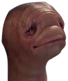 vinny_meat emote