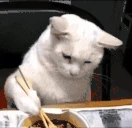 noodles emote
