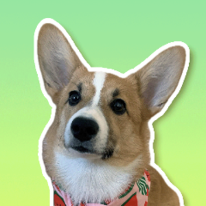corgi_u avatar