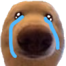dawg_cry emote