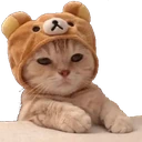 hm emote