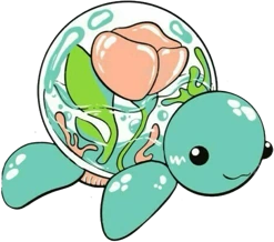 turtle_pod emote
