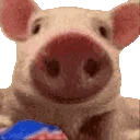 veryPig emote