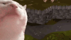 catJamOSRS emote