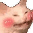 CattoBlushies emote