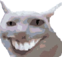 bonkcatsmile emoji