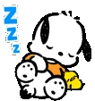 PochaccoSleep emote