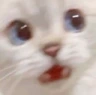 CE_SCREMMMMMM5 emoji