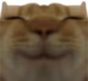 cheerful emote