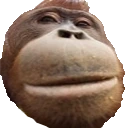 monkeWut emote