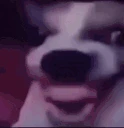 HAHAHA emote