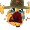 NAUR emote