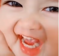 bayisnekpideo emote