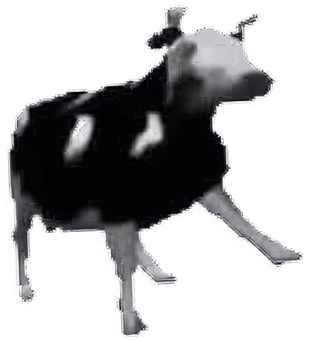 Polish_Cow emote