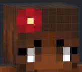 MinecraftSkin emote