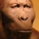 SERIO emote