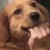 dog_fingerbite emote