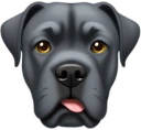 canecorso emote
