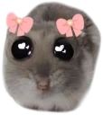 justagirl emote