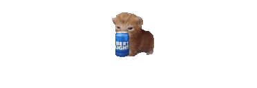 DUIbert emote
