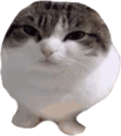 Wawa emote