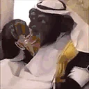 ArabMonkey emote