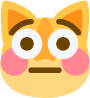 Flushed_Cat emote