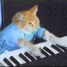 CE_KeyboardCat emote